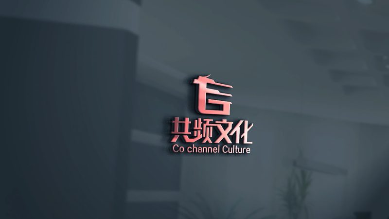服装短视频代运营与自营：两种模式背后的差异解析